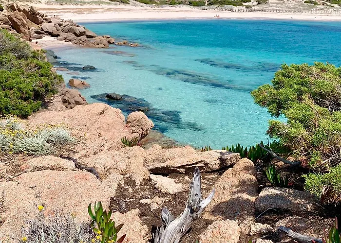 T3 4 Etoiles 4/6 Personnes Vecchio מלון דירות